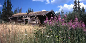 Cabin