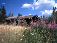 Cabane - territoire du Yukon