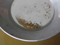 Goldpanning in Dawson City