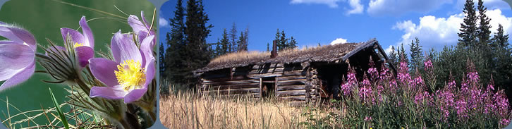 The North Klondike highway - Yukon River Adventure