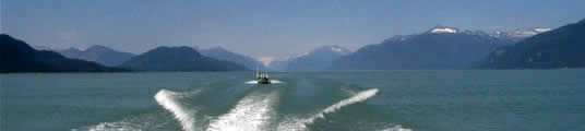 The boat