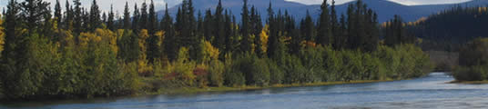 fleuve Yukon &agrave; l'approche de l'automne